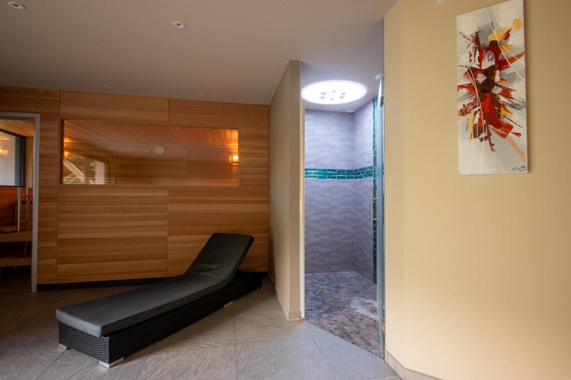 Logis Hotel Le Regal & Spa Saint-Die-des-Vosges Buitenkant foto