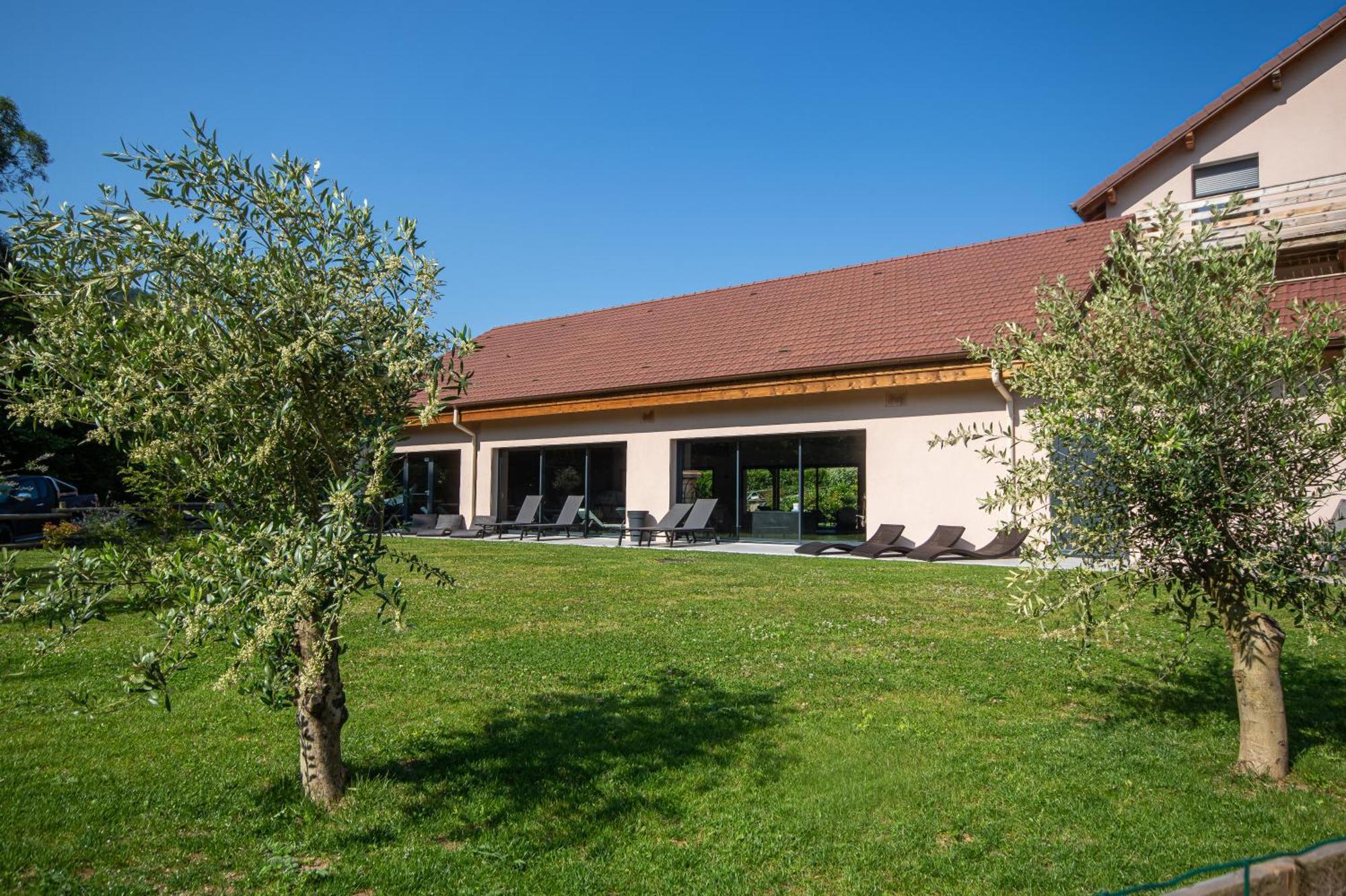 Logis Hotel Le Regal & Spa Saint-Die-des-Vosges Buitenkant foto