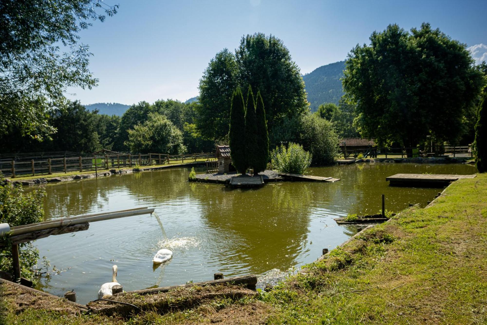 Logis Hotel Le Regal & Spa Saint-Die-des-Vosges Buitenkant foto